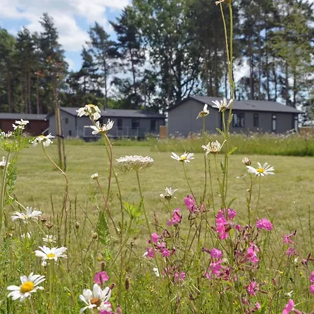 Hollicarrs - Hares Leap * Riccall