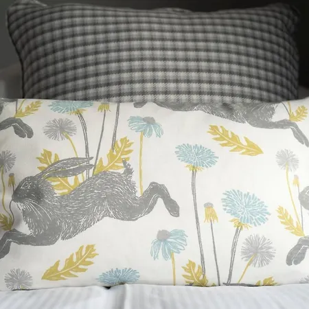 Lodge Hollicarrs - Hares Leap