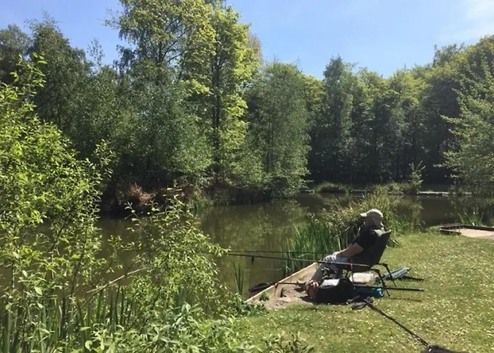 Lodge Hollicarrs - Hares Leap