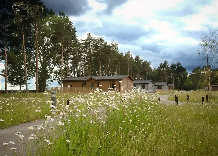 Lodge Hollicarrs - Hares Leap