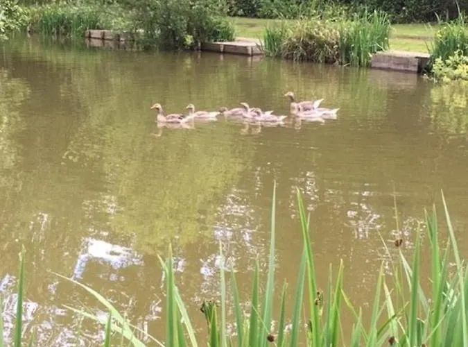 Lodge Hollicarrs - Hares Leap