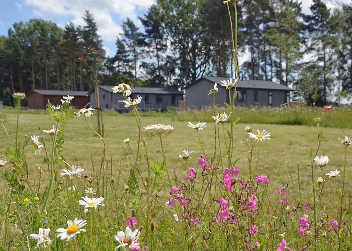 Hollicarrs - Hares Leap * Riccall