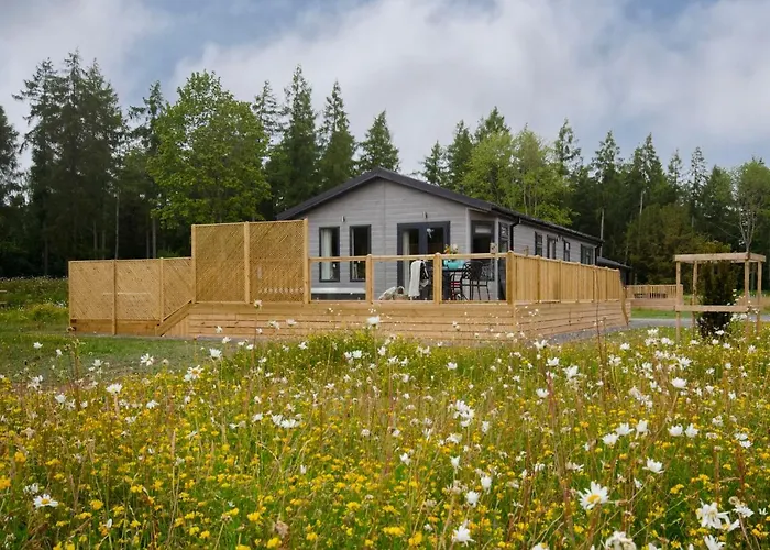 Hollicarrs - Hares Leap *