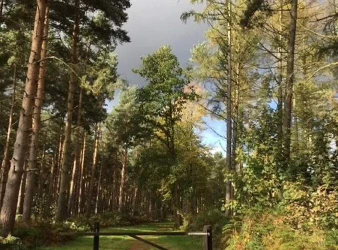 Hollicarrs - Hares Leap Lodge *