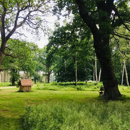 Hollicarrs - Hares Leap 山林小屋 Riccall