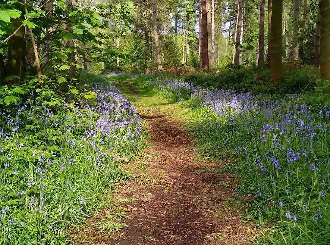 Hollicarrs - Hares Leap *