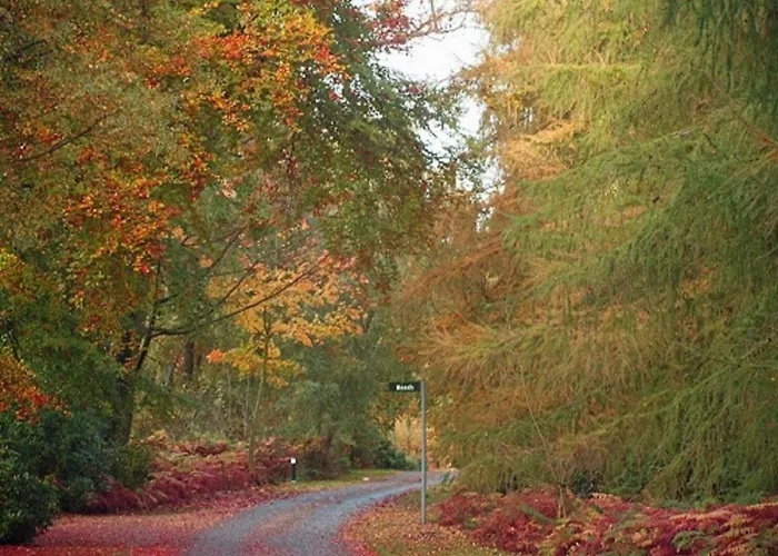 Hollicarrs - Hares Leap