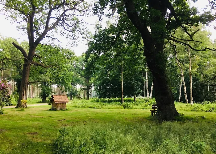 Hollicarrs - Hares Leap Lodge Riccall