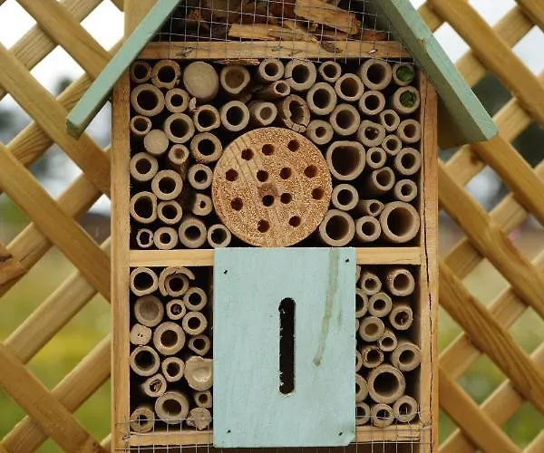 Hollicarrs - Hares Leap Lodge Riccall