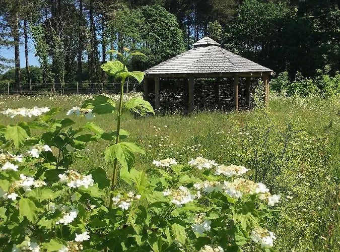 Hollicarrs - Hares Leap