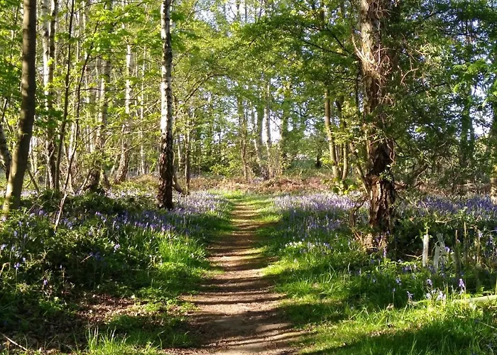 Hollicarrs - Hares Leap Lodge