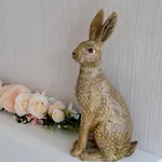 Hollicarrs - Hares Leap