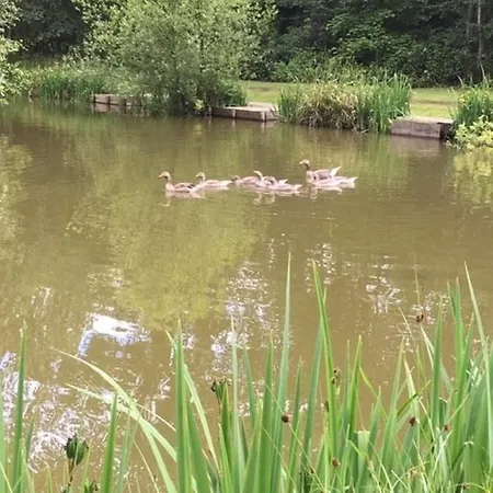 Lodge Hollicarrs - Hares Leap