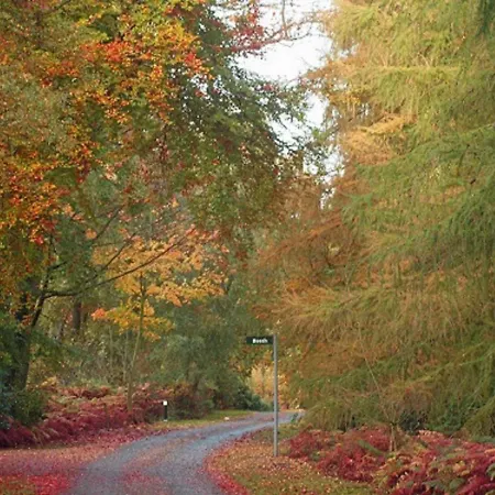 Hollicarrs - Hares Leap