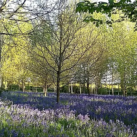 Hollicarrs - Hares Leap