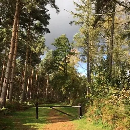 Hollicarrs - Hares Leap Lodge *